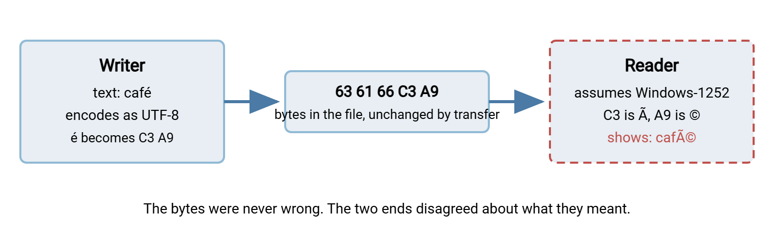 Diagram of an encoding mismatch. A writer encodes the word café as UTF-8, producing the bytes 63 61 66 C3 A9. The bytes travel unchanged. A reader decodes them as Windows-1252 and displays cafÃ©.