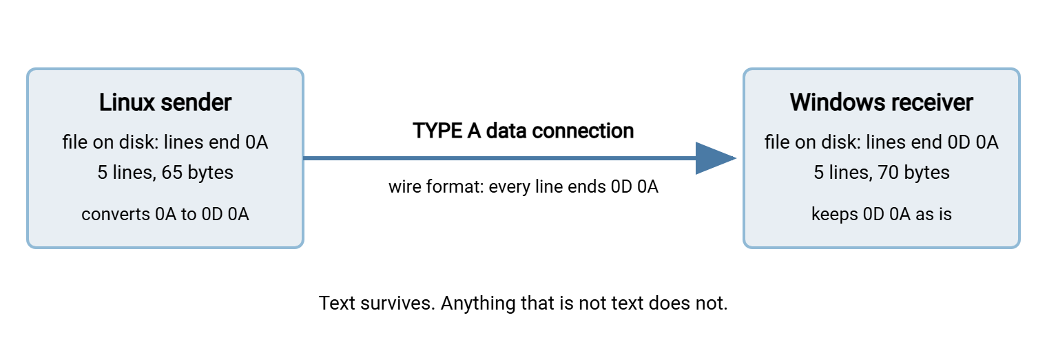 Diagram of an ASCII-mode transfer. A Linux sender converts each LF line ending to CRLF on the wire; the Windows receiver keeps CRLF on disk. The file grows by one byte per line.