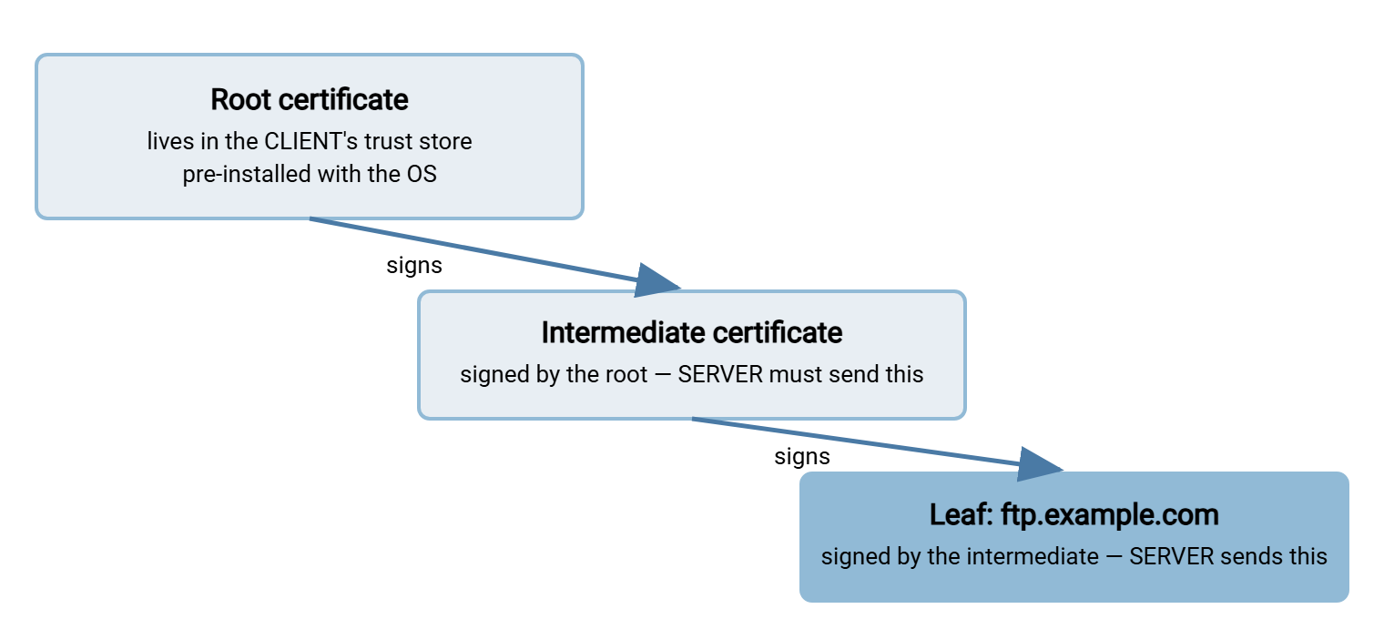 Certificate chain diagram. The client's trust store holds the root certificate. The root signs an intermediate certificate, and the intermediate signs the server's leaf certificate. The server must present both the leaf and the intermediate; the client links them up to its stored root.