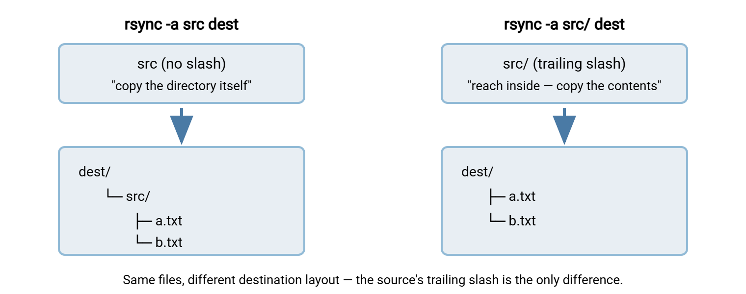 Diagram of rsync trailing-slash semantics. Copying src without a slash creates dest/src with the files inside it. Copying src/ with a slash places the files directly inside dest.