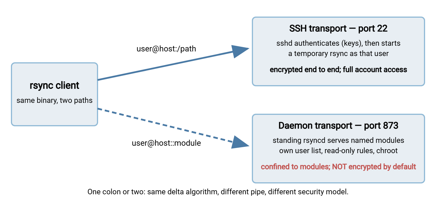 Diagram comparing rsync transports. Over SSH, the client connects to sshd on port 22, which starts a temporary rsync process with full account access, encrypted end to end. Over the daemon transport, the client connects to rsyncd on port 873, which serves named modules with its own user list, confined to module paths but unencrypted by default.