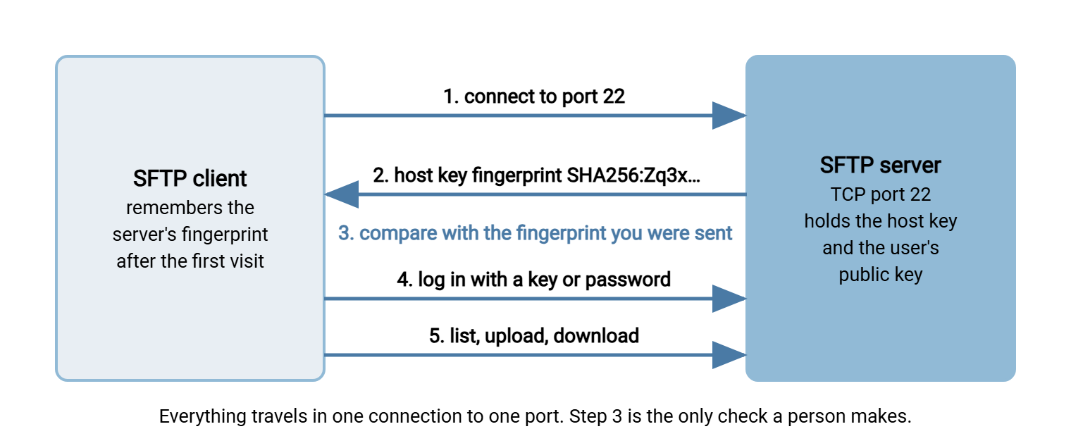 Diagram of an SFTP connection. The client connects to port 22, the server sends its host key fingerprint, the user compares it with the published fingerprint, the client logs in with a key or password, and files are listed and transferred over the same connection.