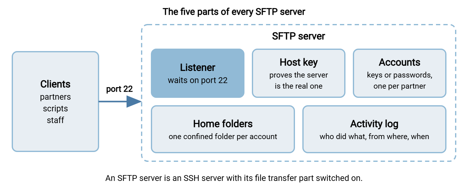 Diagram of the five parts of an SFTP server. Clients such as partners, scripts, and staff connect to port 22. Inside the server are a listener on port 22, a host key that proves the server's identity, accounts with keys or passwords, one confined home folder per account, and an activity log.