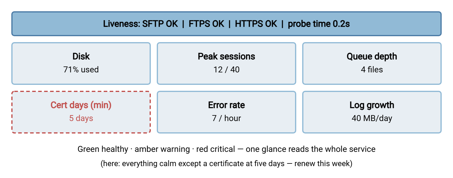 A dashboard laid out as a grid of tiles. The top row holds per-protocol liveness and response time. The middle row holds disk, peak sessions, and queue depth. The bottom row holds certificate days, error rate, and log growth. Each tile shows a value and a status color.