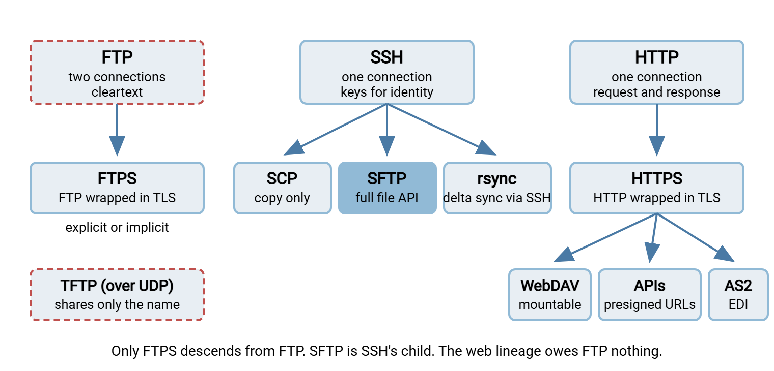 Family tree of file transfer protocols with three roots. FTP, drawn dashed as cleartext, has one child, FTPS. SSH has three children: SCP, SFTP, and rsync over SSH. HTTP has one child, HTTPS, which in turn has WebDAV, APIs with presigned URLs, and AS2 beneath it. TFTP over UDP sits apart, sharing only the name with FTP.